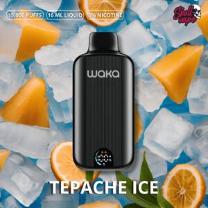 Tepache Ice - Waka DMi (15 mil hits)