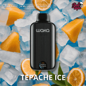 Tepache Ice - Waka DMi (15 mil hits)