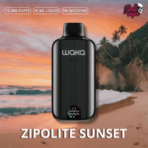 Zipolite Sunset - Waka DMi (15 mil hits)