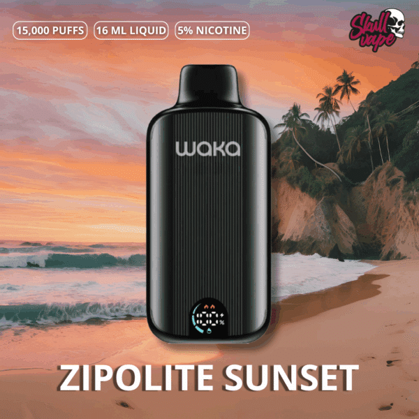 Zipolite Sunset - Waka DMi (15 mil hits)