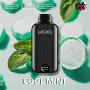 Cool Mint - Waka DMi (15 mil hits)