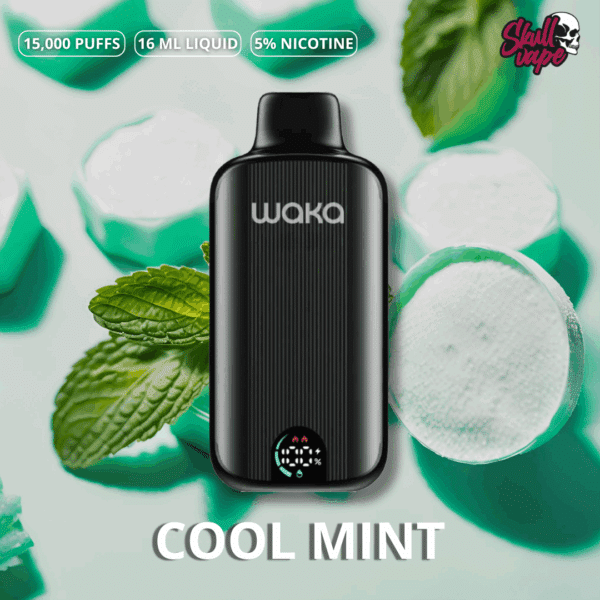 Cool Mint - Waka DMi (15 mil hits)