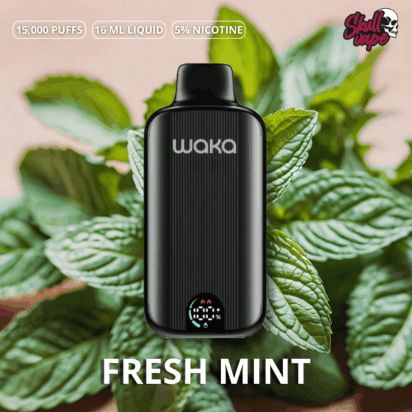 Fresh Mint - Waka DMi (15 mil hits)