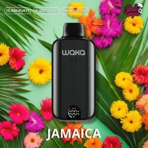 jamaica - Waka DMi (15 mil hits)