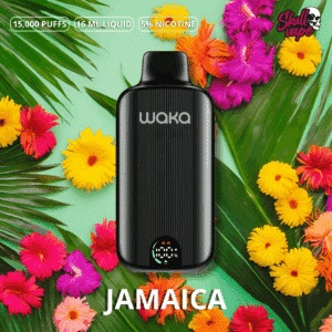 jamaica - Waka DMi (15 mil hits)