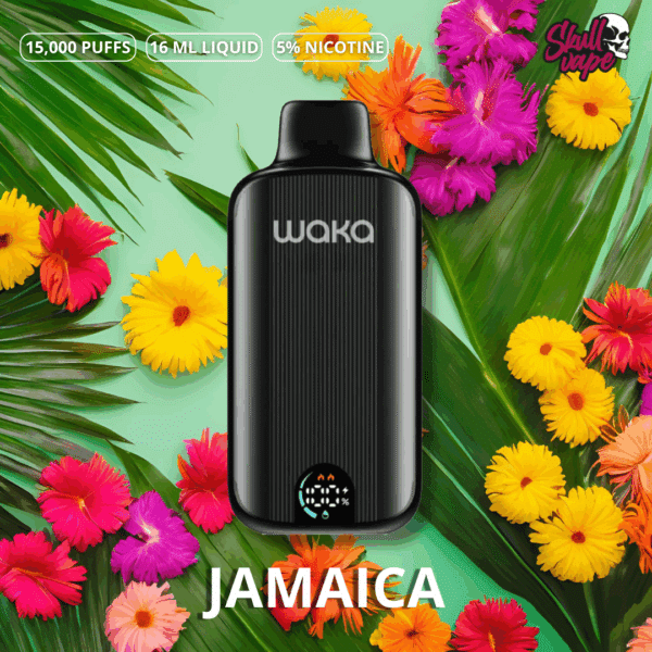 jamaica - Waka DMi (15 mil hits)
