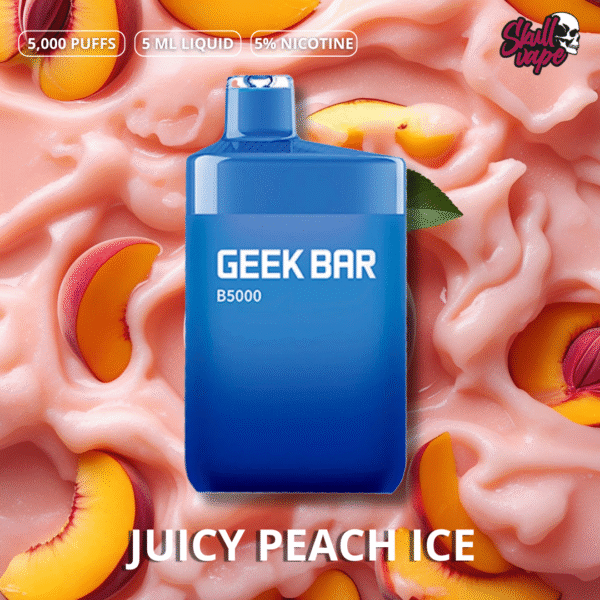Juicy Peach Ice - Geek Bar B5000