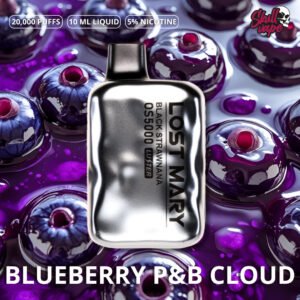 Blueberry P&B Cloudd - Lost Mary OS5000