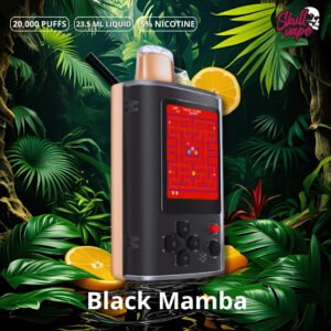 Black Mamba - V-Play