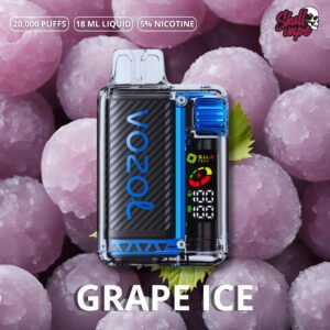 Grape Ice - Vozol Vista