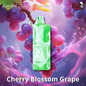 Cherry Blossom Grape - Lost Mary MO5000
